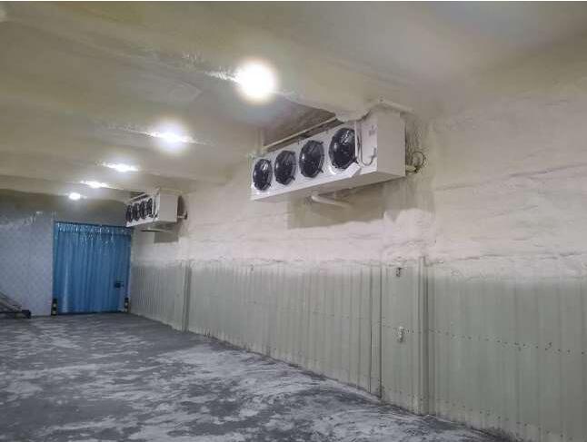 建一个冷库多少钱