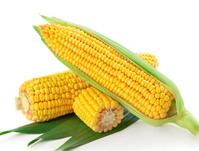 鲜玉米冷库储存技术，玉米棒是带皮还是不带皮储存？