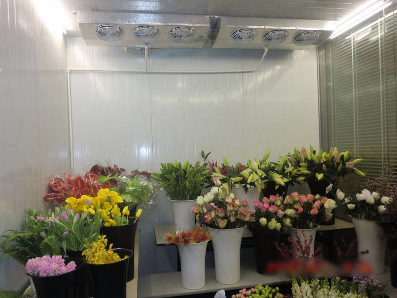 鲜花冷库怎样保鲜鲜花？是用风冷还是直冷？